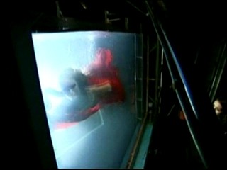 Britain's Next Top Model