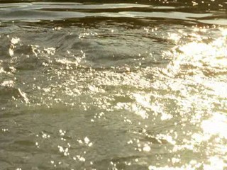 Dlaczego nie! Part 1