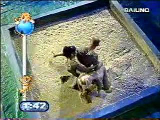 Mud wrestling (2 girls against 1 guy)