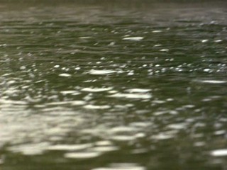 I Love You, I Love You Not