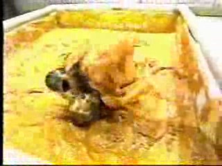 Christina - talk show: - Spanish  Female Mud Wrestling