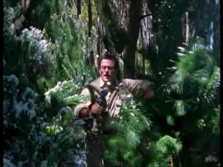 Xena: Warrior Princess