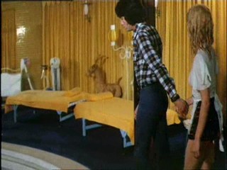 Liebe in 3 Dimensionen