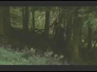 Die Insel der Angst 2 (German Horror Movie)