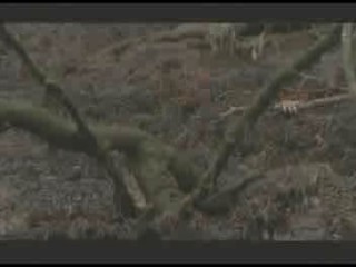 Die Insel der Angst 2 (German Horror Movie)