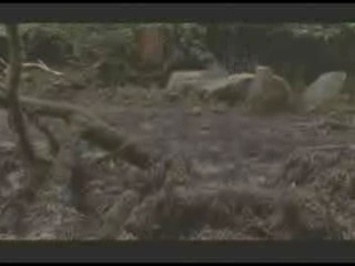 Die Insel der Angst 2 (German Horror Movie)