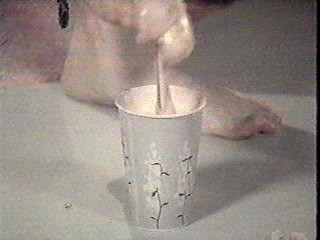 Rhonda Shear food foot smash