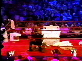 WWE tarred and feathered