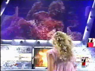 WWE tarred and feathered