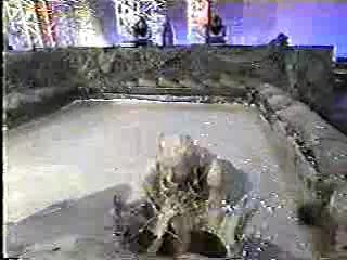 WCW mud fight