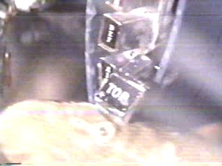 woman goes through car wash