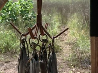 Survivor Panama - Dunk Tank Challenge