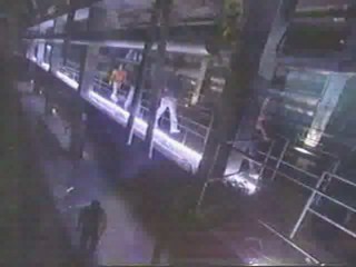 Fear Factor - S05E09 - Halloween Episode 2 - Stunt 3 - Bug Tumbler