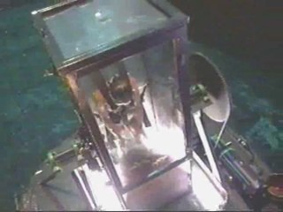 Fear Factor - S05E09 - Halloween Episode 2 - Stunt 3 - Bug Tumbler