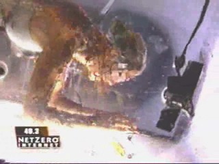 Fear Factor - S05E09 - Halloween Episode 2 - Stunt 3 - Bug Tumbler