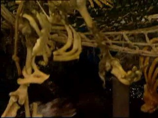 Celebrity Big Brother 4 - Day 10