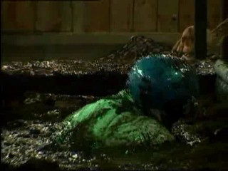 Celebrity Big Brother 4 - Day 10