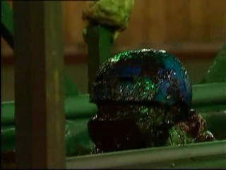 Celebrity Big Brother 4 - Day 10