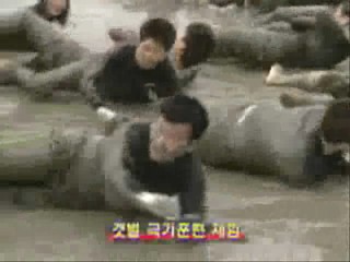Boryeong - Korean mud festival 2