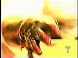 Fashion TV - Chocolate model