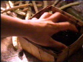 Fried Green Tomatoes