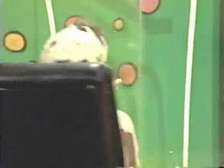 Playboy TV / wwyd pie wash