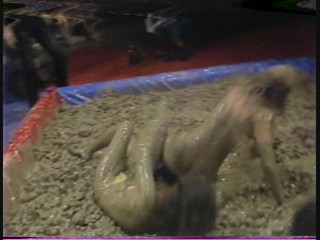 1981 Las Vegas Heavyweight Mudwrestling Championship 