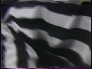 1981 Las Vegas Heavyweight Mudwrestling Championship