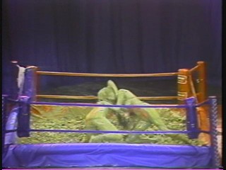 Lightweight Mud Wrestling Championships