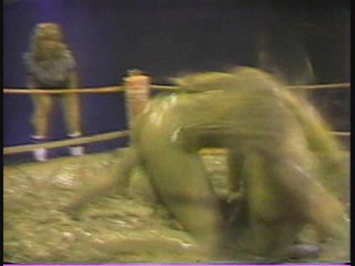 Lightweight Mudwrestling Championships