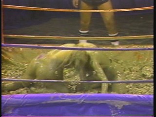 Lightweight Mudwrestling Championships