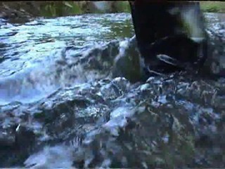 josephine loves boots