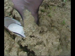 Aldo pumps Ankle deep.