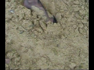 Aldo pumps Ankle deep.