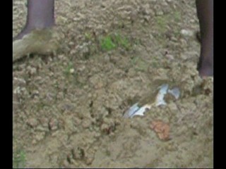 Aldo pumps Ankle deep.