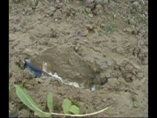 Aldo pumps Ankle deep.