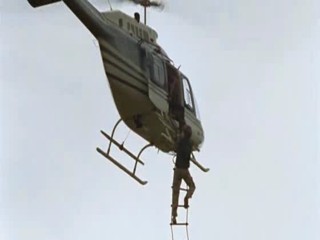 Zoop in South America