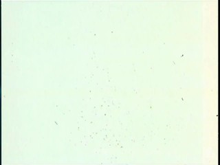 Wet shirt in jacuzzi