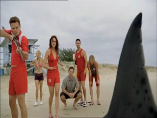 Malibu Shark Attack