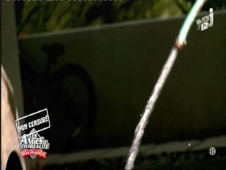 Les Anges de la tÃ©lÃ© rÃ©alitÃ©