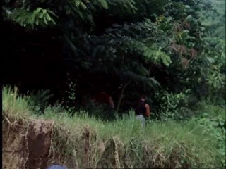 The New Swiss Family Robinson