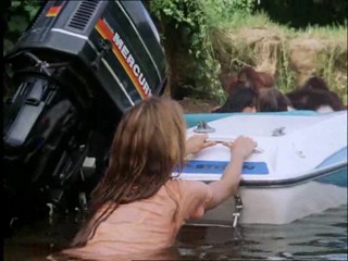 The New Swiss Family Robinson