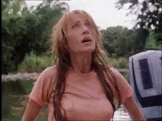 The New Swiss Family Robinson