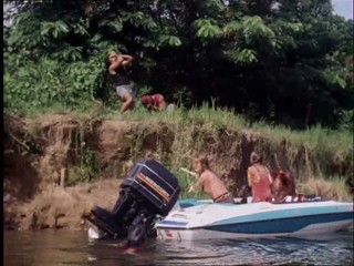 The New Swiss Family Robinson