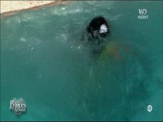 Les Princes de l'amour