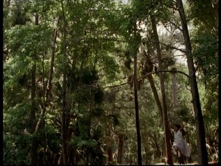 Their Eyes Were Watching God