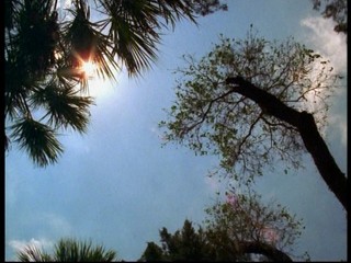 Their Eyes Were Watching God