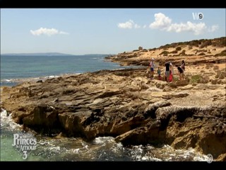 Les Princes de l'amour