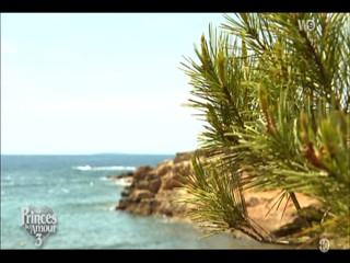 Les Princes de l'amour