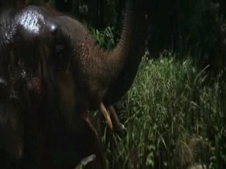 Indiana Jones and the Temple of Doom